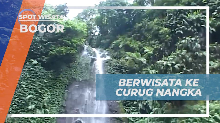 Menikmati Pesona Keindahan Alam Curug Nangka yang Memukau, Bogor