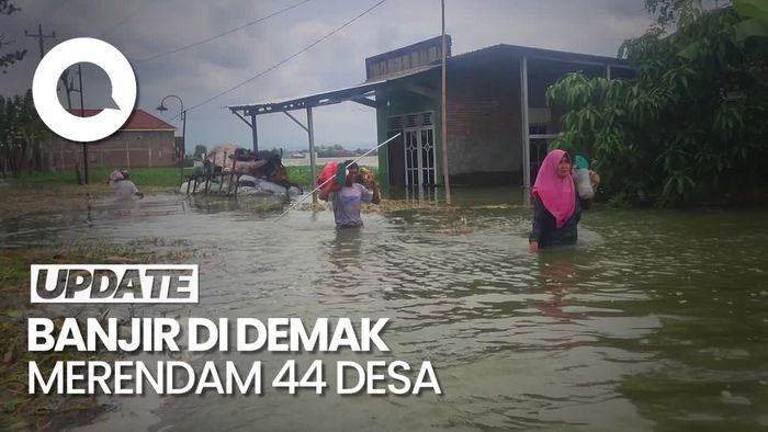 Sudah 44 Desa di Demak Terendam Banjir, 2.163 Warga Mengungsi