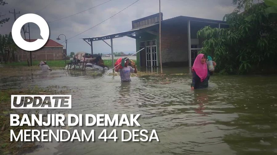 Sudah 44 Desa di Demak Terendam Banjir, 2.163 Warga Mengungsi