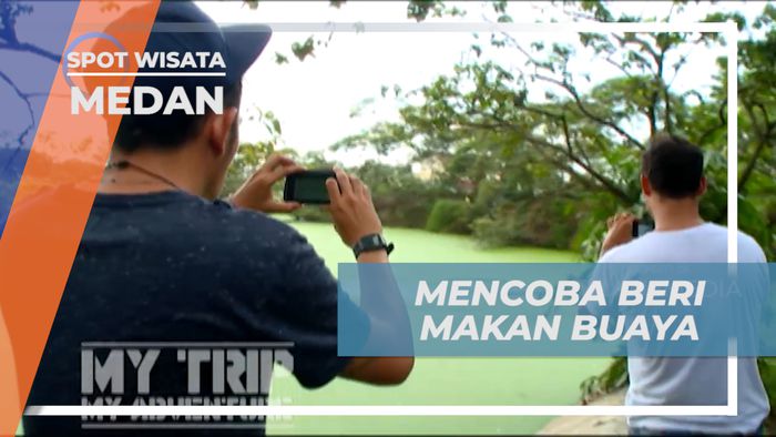 Sensasi Memberi Makan Buaya dari Jarak yang Dekat, Medan