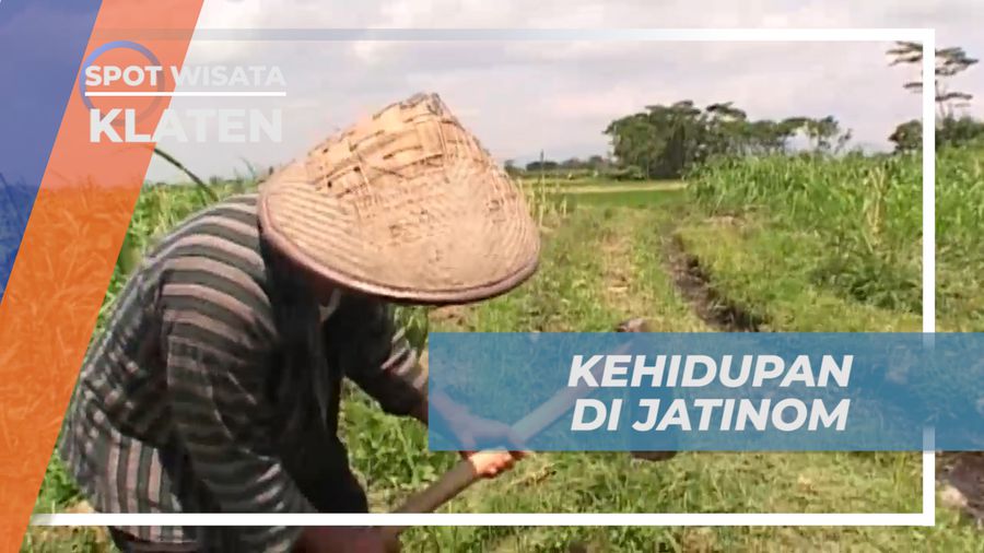 Melihat Tentramnya Kehidupan Warga Desa Jatinom di Kaki Gunung Merapi, Klaten