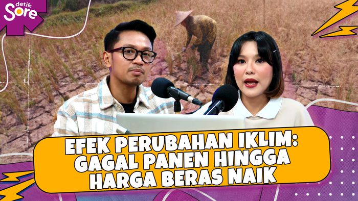 Efek Perubahan Iklim Gagal Panen hingga Harga Beras Naik