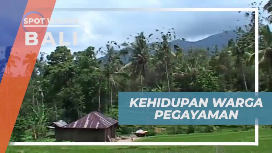 Petani, Mayoritas Profesi Warga Desa Pegayaman Bali
