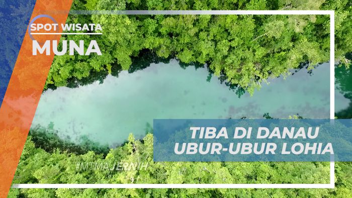 Mengeksplor Indahnya Danau Ubur-ubur Lohia yang Super Jernih, Muna