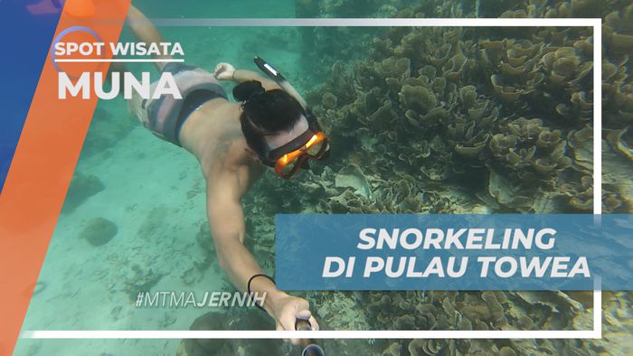 Mengintip Pesona Keindahan Terumbu Karang Bawah Laut Pulau Towea, Muna