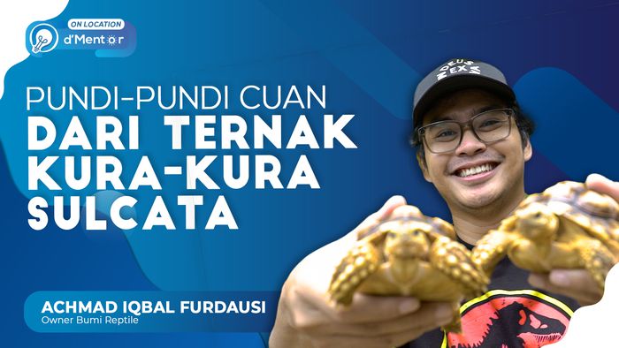 Raup Omzet Puluhan Juta Sebulan dari Bisnis Sulcata