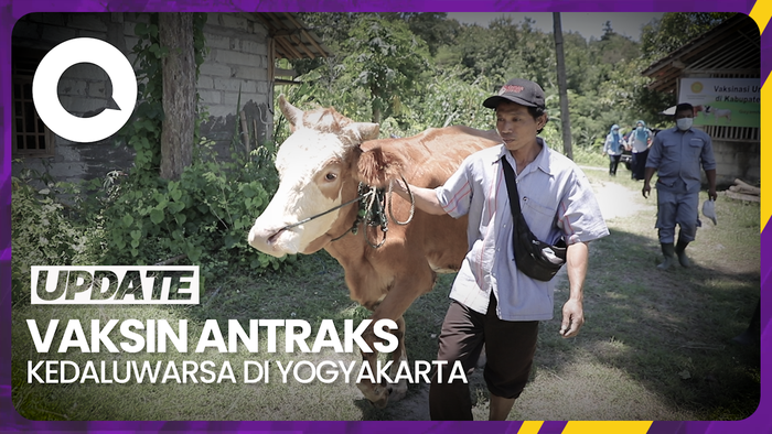 Kementan Sayangkan Ada Vaksin Antraks Kedaluwarsa di Yogyakarta