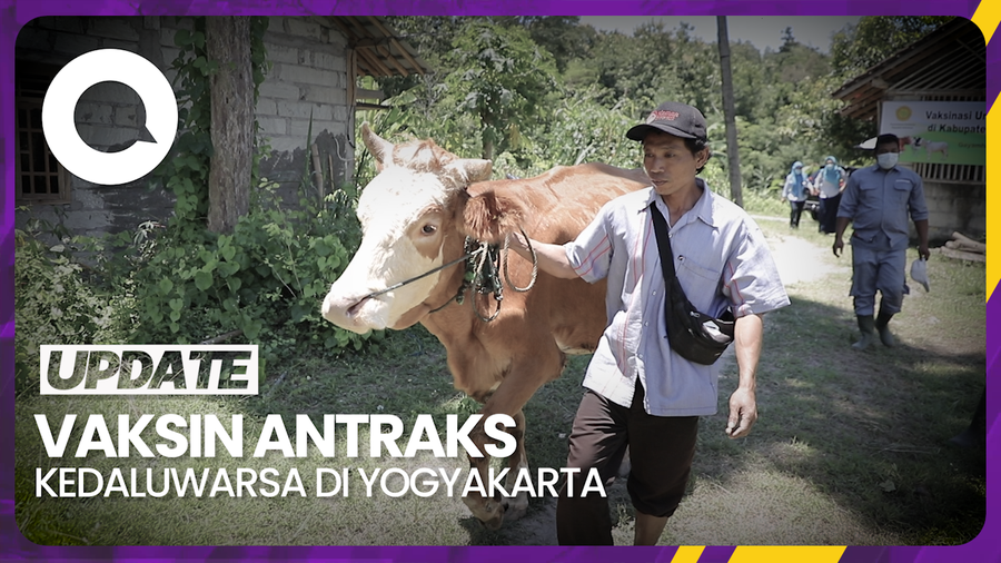Kementan Sayangkan Ada Vaksin Antraks Kedaluwarsa di Yogyakarta