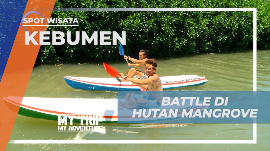 Seru-seruan Adu Cepat Balapan Kano di Hutan Mangrove Kecamanat Ayah, Kebumen