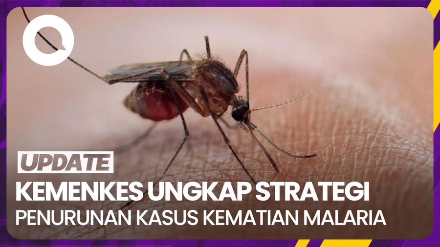 Kemenkes Targetkan Kasus Malaria Turun hingga 90% di 2030