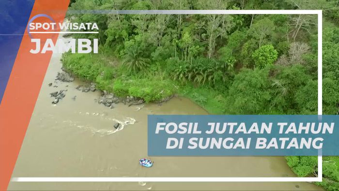 Melihat Fosil Berumur Jutaan Tahun di Sungai Batang Jambi