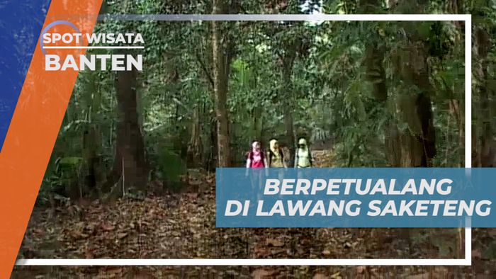 Berpetualang Seru di Hutan Cagar Alam Lawang Saketeng, Banten