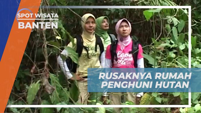 Kondisi Hutan Lawang Saketeng Rusak Oleh Tangan yang Tidak Bertanggung Jawab, Banten