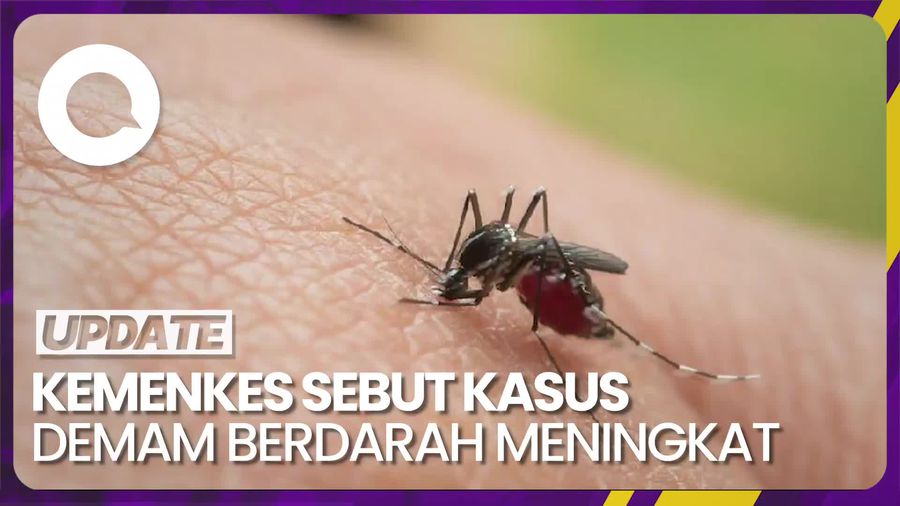 Kasus Demam Berdarah di RI Meningkat Imbas Fenomena El Nino