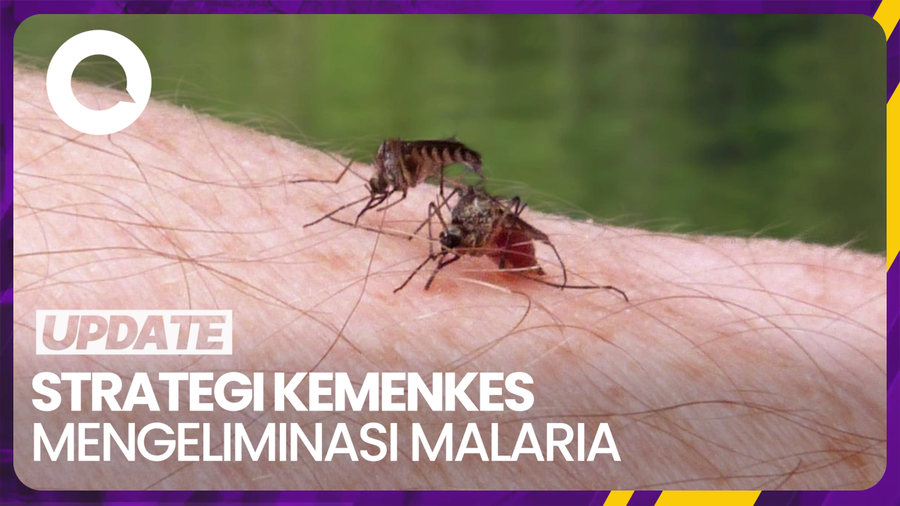 Kemenkes RI Galakkan Obat Minum Massal Malaria di Papua