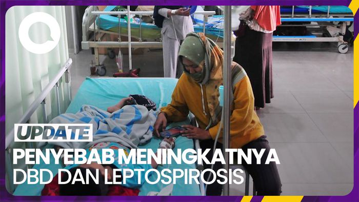 Sebab Meningkatnya Kasus DBD dan Leptospirosis di Musim Hujan