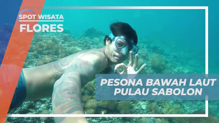Berenang Menikmati Keindahan Bawah Laut Pulau Sabolon Flores