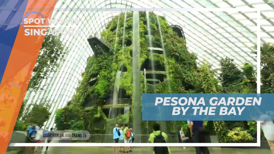 Menikmati sejuknya Suasana Hutan di Tengah Kota, Singapura