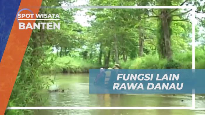 Cerita Unik Tentang Fungsi Lain Rawa Danau di Banten