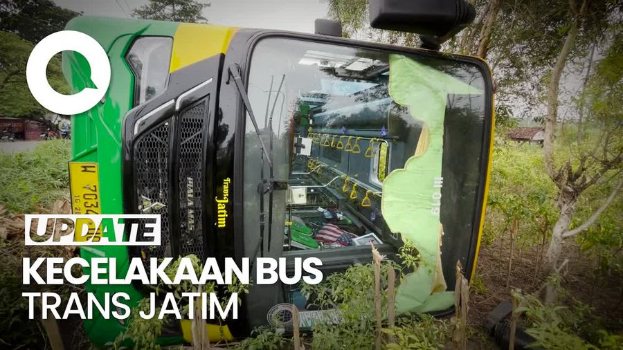 Hindari Pemotor, Bus Trans Jatim Terperosok ke Kebun Cabai