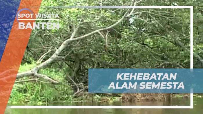 Cerita Alam di Danau Rawa Liar Banten