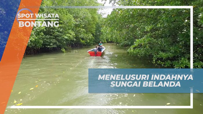 Menyusuri Indahnya Lorong Sungai Belanda yang Diapit Pohon Bakau, Bontang