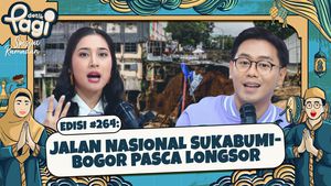 Jalan Nasional Sukabumi-Bogor Pasca Longsor