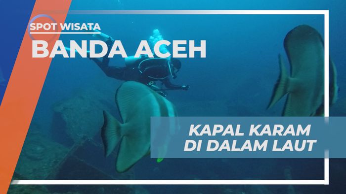 Diving Melihat Dari Dekat Kapal Karam di Dasar Laut Banda Aceh         