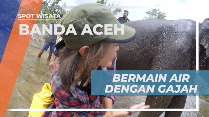 Seru-seruan Bermain Air Dengan Gajah di Banda Aceh        
