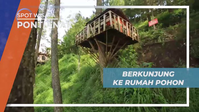 Berkunjung ke Rumah Pohon, Menikmati Keindahan Alam Kota Batu yang Asri