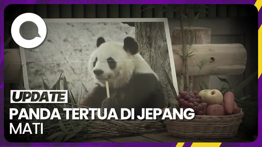Kematian Tan Tan, Sang Panda Tertua di Jepang