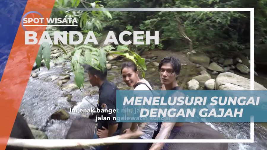 Naik Gajah Menyusuri Sungai Dalam Pencarian Suku Mantek Banda Aceh          