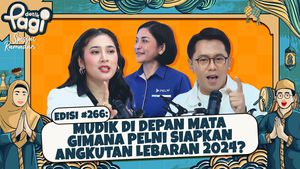 Mudik di Depan Mata Gimana Pelni Siapkan Angkutan Lebaran 2024?