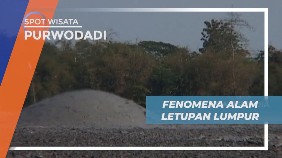 Bledug Kuwu, Cerita Mitos Fenomena Alam Letupan Lumpur di Purwodadi