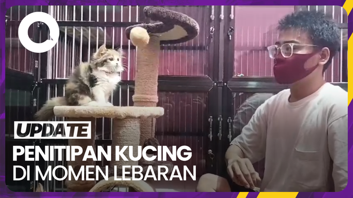 Penitipan Kucing di Denpasar Banjir Pesanan Jelang Lebaran