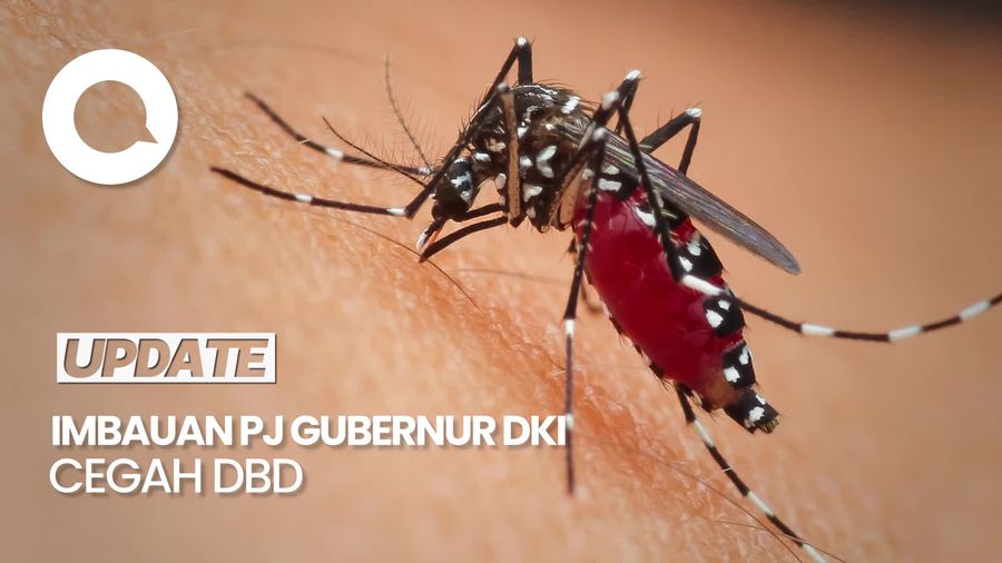 Cegah DBD, PJ Gubernur DKI Jakarta Imbau Warga Terapkan 3M Plus