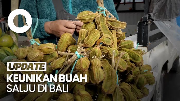 Icip-icip Buah Salju di Kintamani