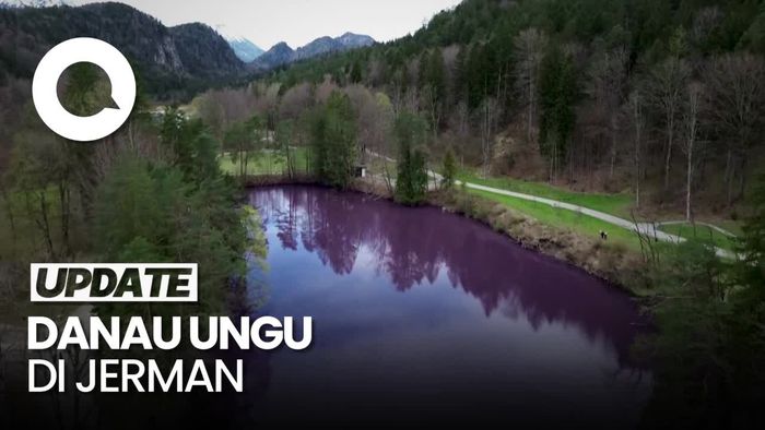 Danau Ungu di Jerman Jadi Sorotan Wisatawan
