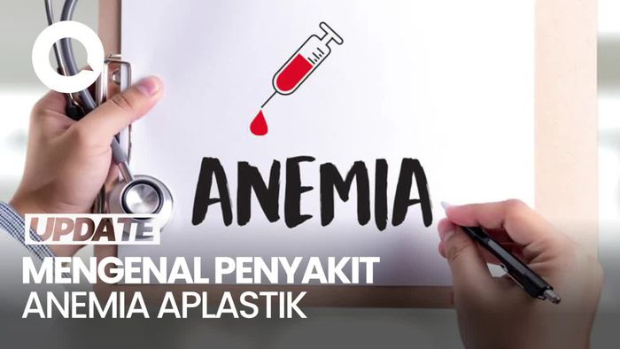 Tentang Anemia Aplastik yang Diidap Babe Cabita Sebelum Meninggal