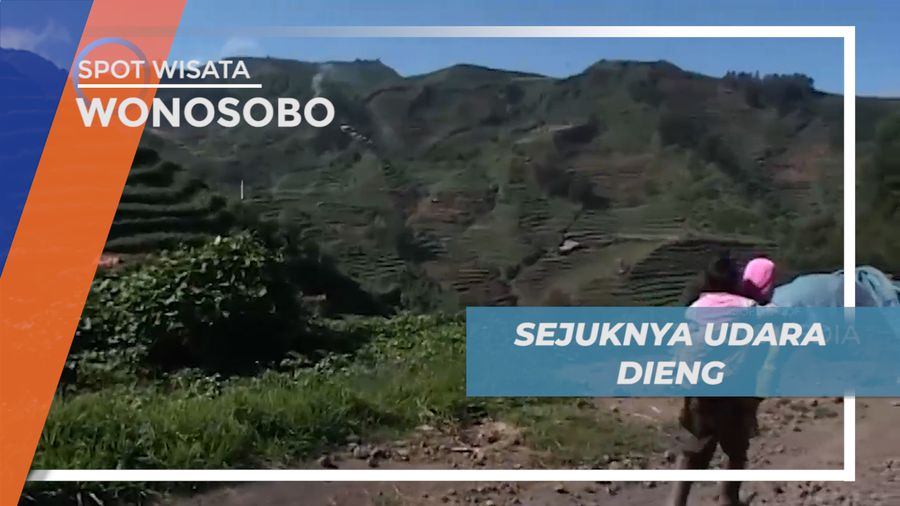 Mengunjungi Surganya Para Pecinta Alam di Puncak Dieng, Wonosobo