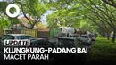 Jalanan Klungkung Arah Padang Bai Bali Macet Parah