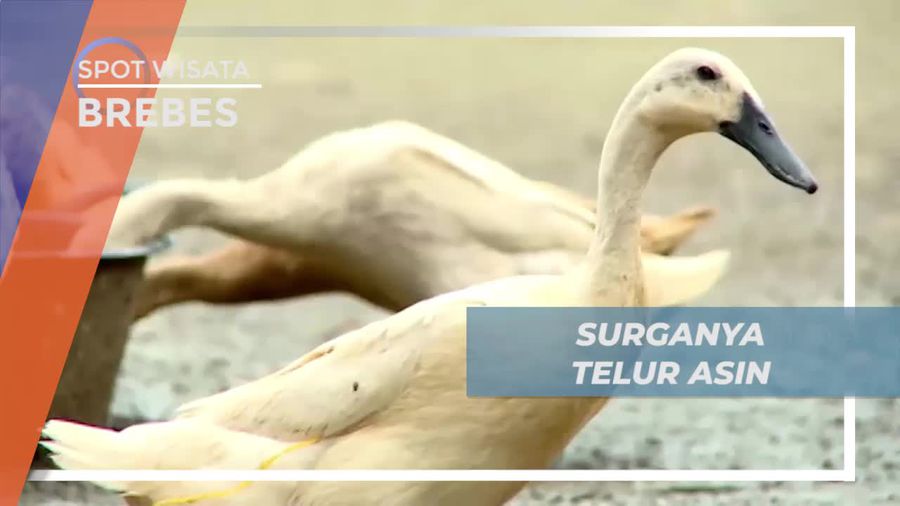 Berkunjung ke Brebes, Surganya Pecinta Telur Asin
