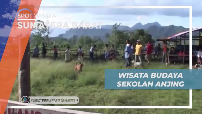 Berkunjung ke Desa Aik Pati, Melihat Sekolah Untuk Anjing Lucu