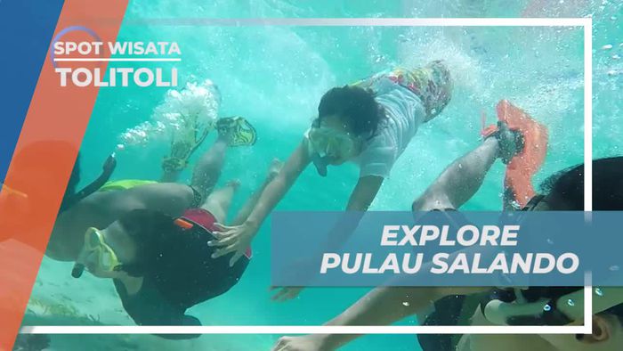 Snorkeling Seru Menikmati Kejernihan Air Pulau Salando Tolitoli