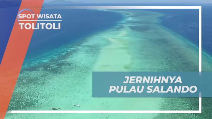 Berenang Menikmati Kejernihan Air di Pulau Salando Tolitoli