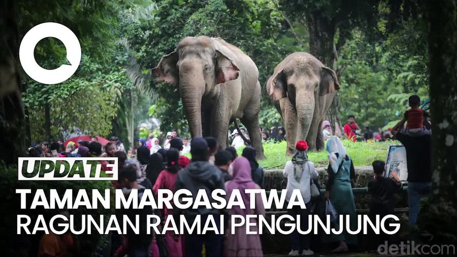46.894 Pengunjung Serbu Taman Margasatwa Ragunan di H+2 Lebaran