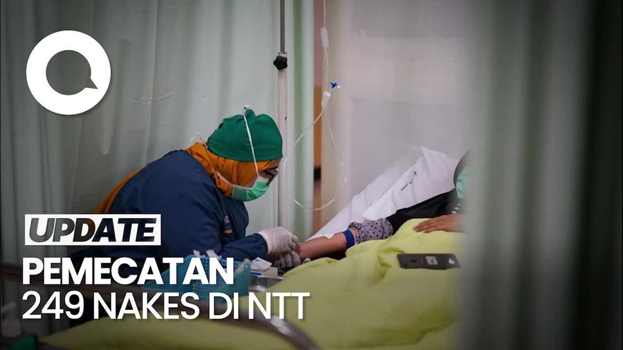 Soal 249 Nakes NTT Dipecat Bupati: Awal Mula hingga Respons Kemenkes