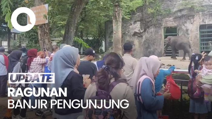 Pengunjung Ragunan Tembus 76.747 di H+4 Lebaran Siang