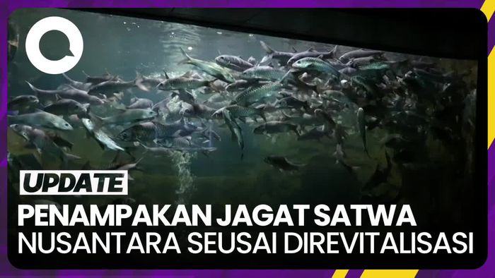 Perbedaan Jagat Satwa Nusantara Sebelum dan Setelah Direvitalitasi