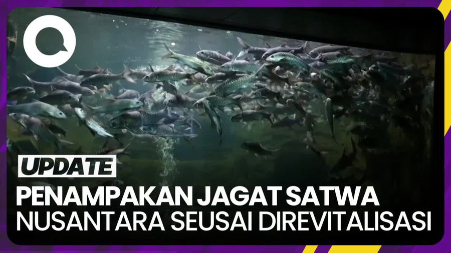 Perbedaan Jagat Satwa Nusantara Sebelum dan Setelah Direvitalitasi